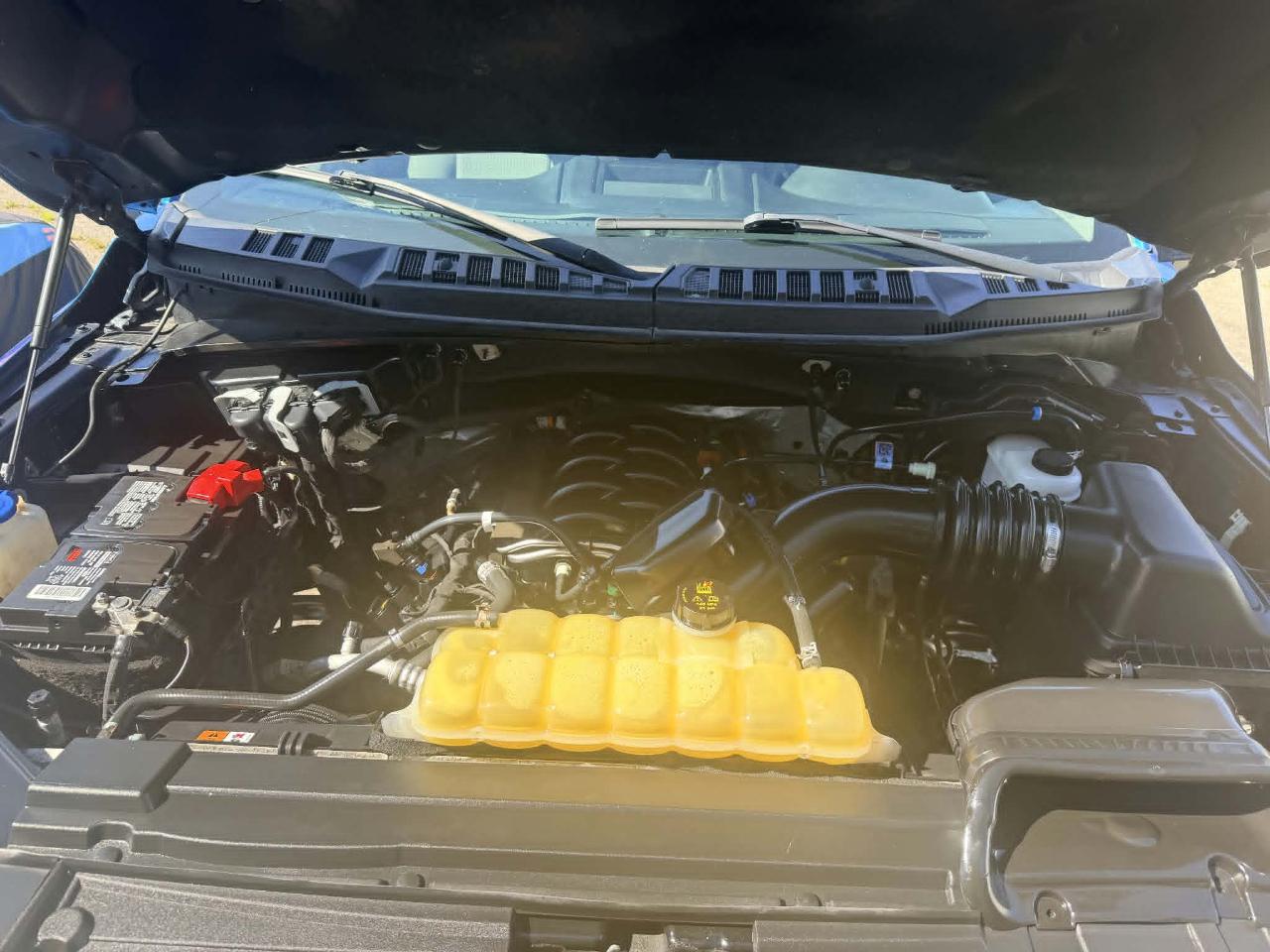Ford F-150 XLT SuperCrew Short Bed 4WD 2019