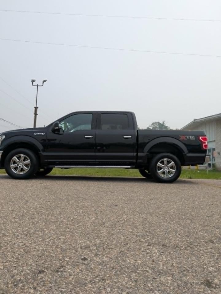 Ford F-150 XLT SuperCrew 5.5-ft. Bed 4WD 2018