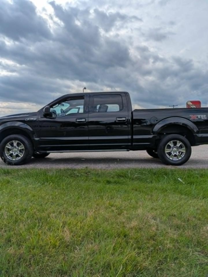 Ford F-150 XLT SuperCrew 6.5-ft. Bed 4WD 2016