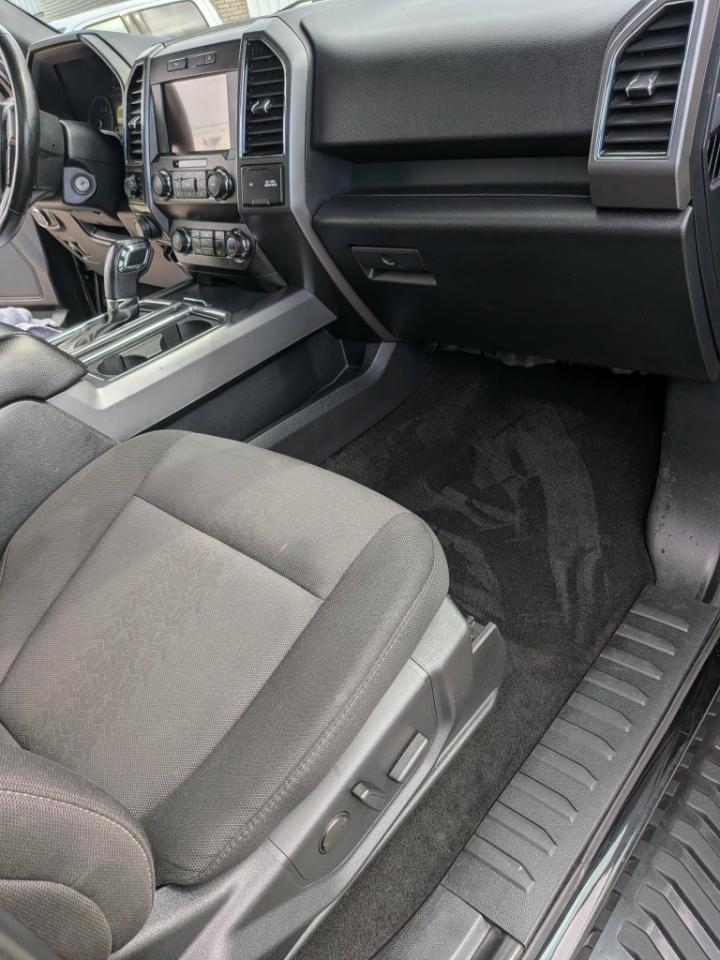 Ford F-150 XLT SuperCrew 6.5-ft. Bed 4WD 2020