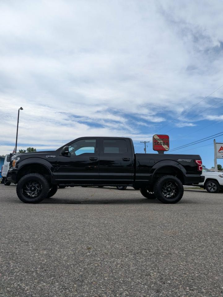 Ford F-150 XLT SuperCrew 6.5-ft. Bed 4WD 2020