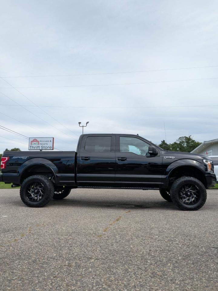 Ford F-150 XLT SuperCrew 6.5-ft. Bed 4WD 2020