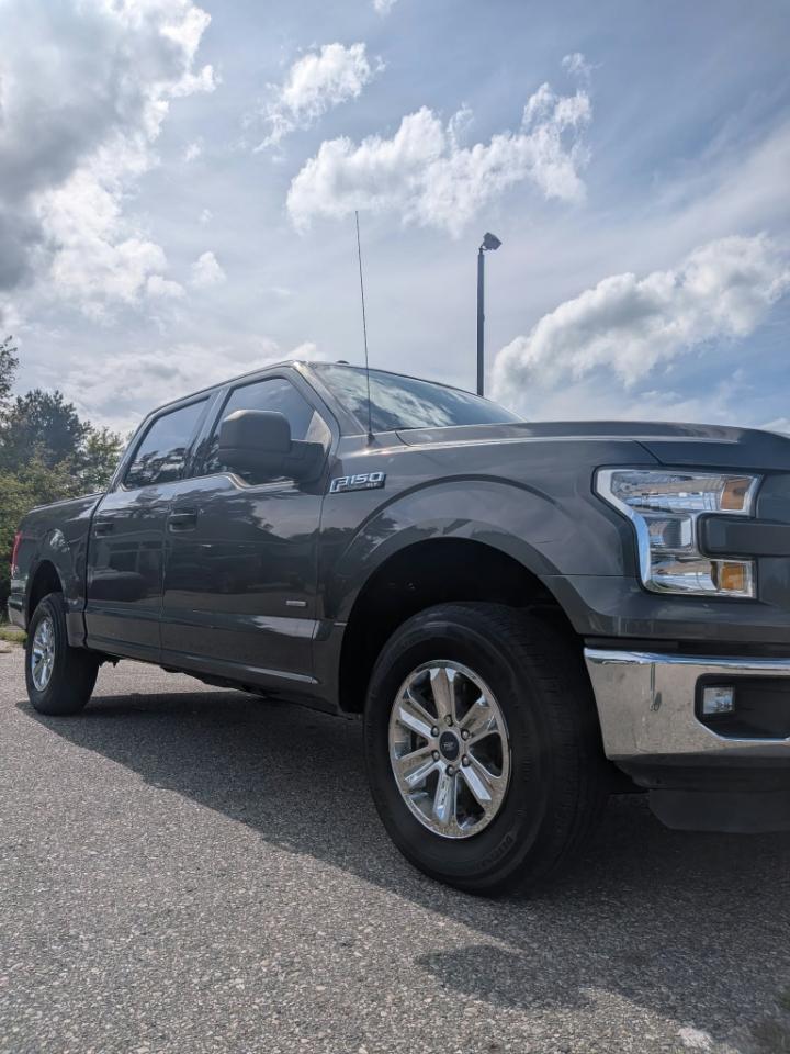 Ford F-150 XLT SuperCrew 5.5-ft. Bed 4WD 2016