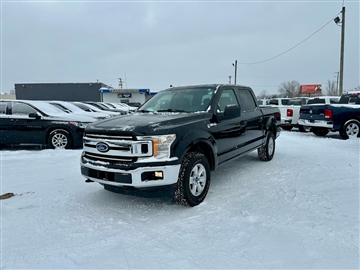 2020 Ford F-150 XL SuperCrew 6.5-ft. Bed 4WD