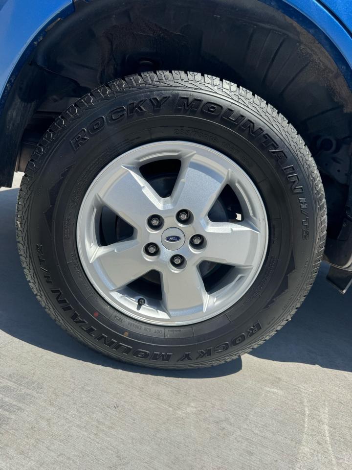 Ford Escape FWD 4dr V6 Auto XLT 2009