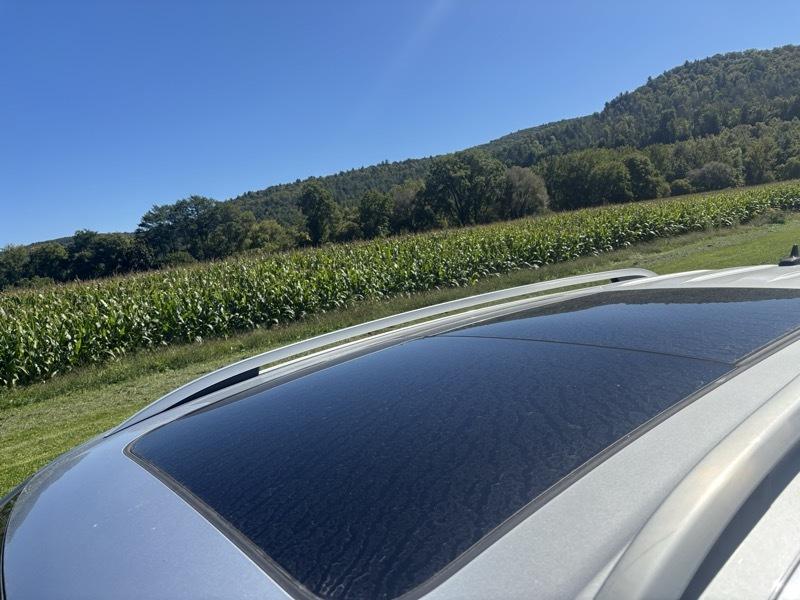 Volkswagen Atlas V6 SE w/Technology AWD 2019