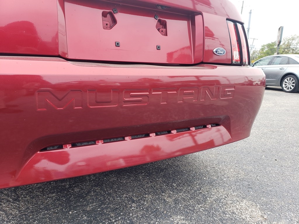 Ford Mustang Deluxe Convertible 2004 Ford Mustang Deluxe Convertible 2004