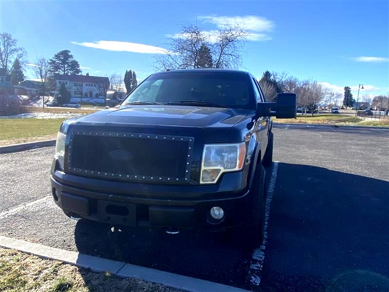 Ford F-150 XLT SuperCrew 6.5-ft. Bed 4WD 2009
