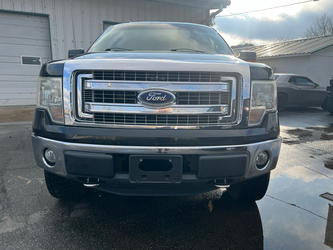 Ford F-150 4WD SuperCrew 145" Platinum 2013