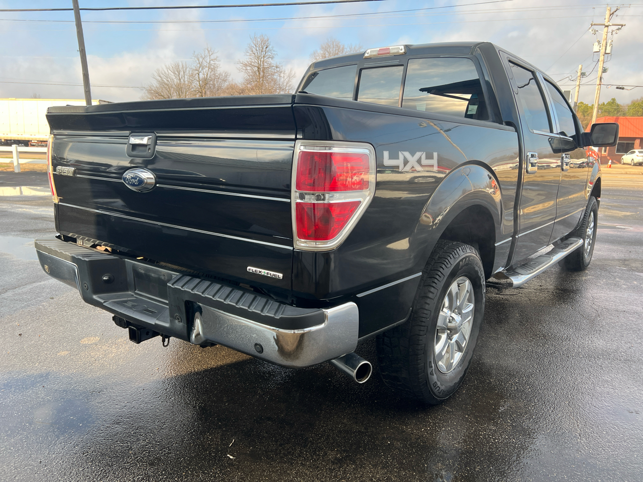 Ford F-150 4WD SuperCrew 145" Platinum 2013