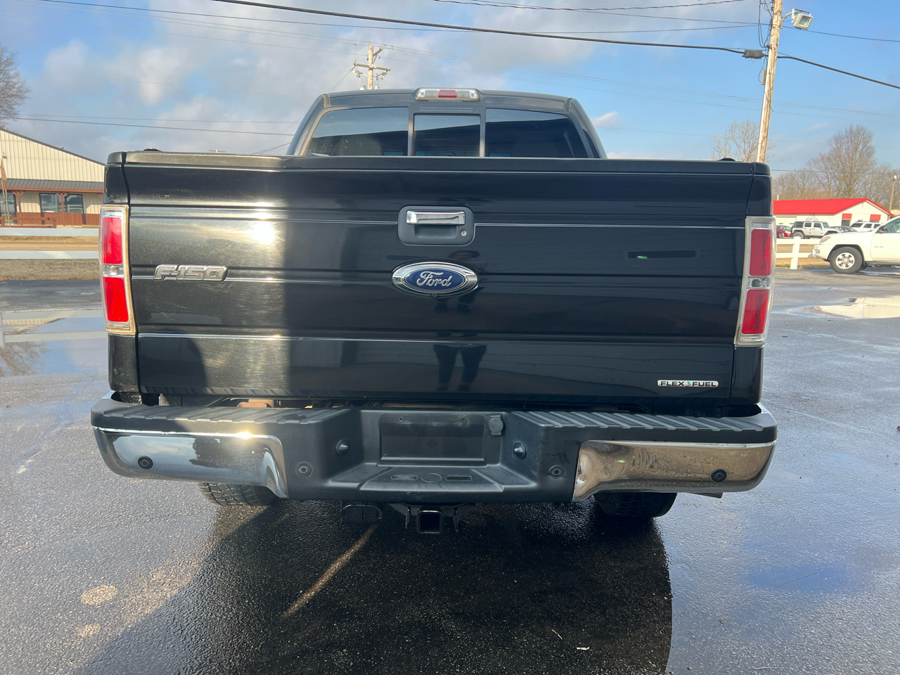 Ford F-150 4WD SuperCrew 145" Platinum 2013