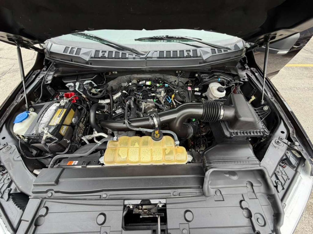 Ford F-150 4WD SuperCrew 139" XLT 2019