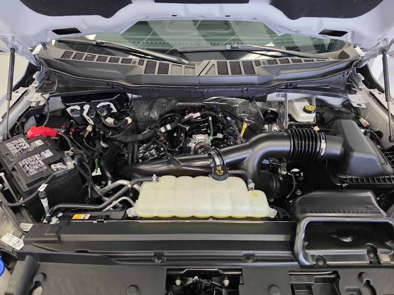 Ford F-150 XLT SuperCrew 4WD 2025