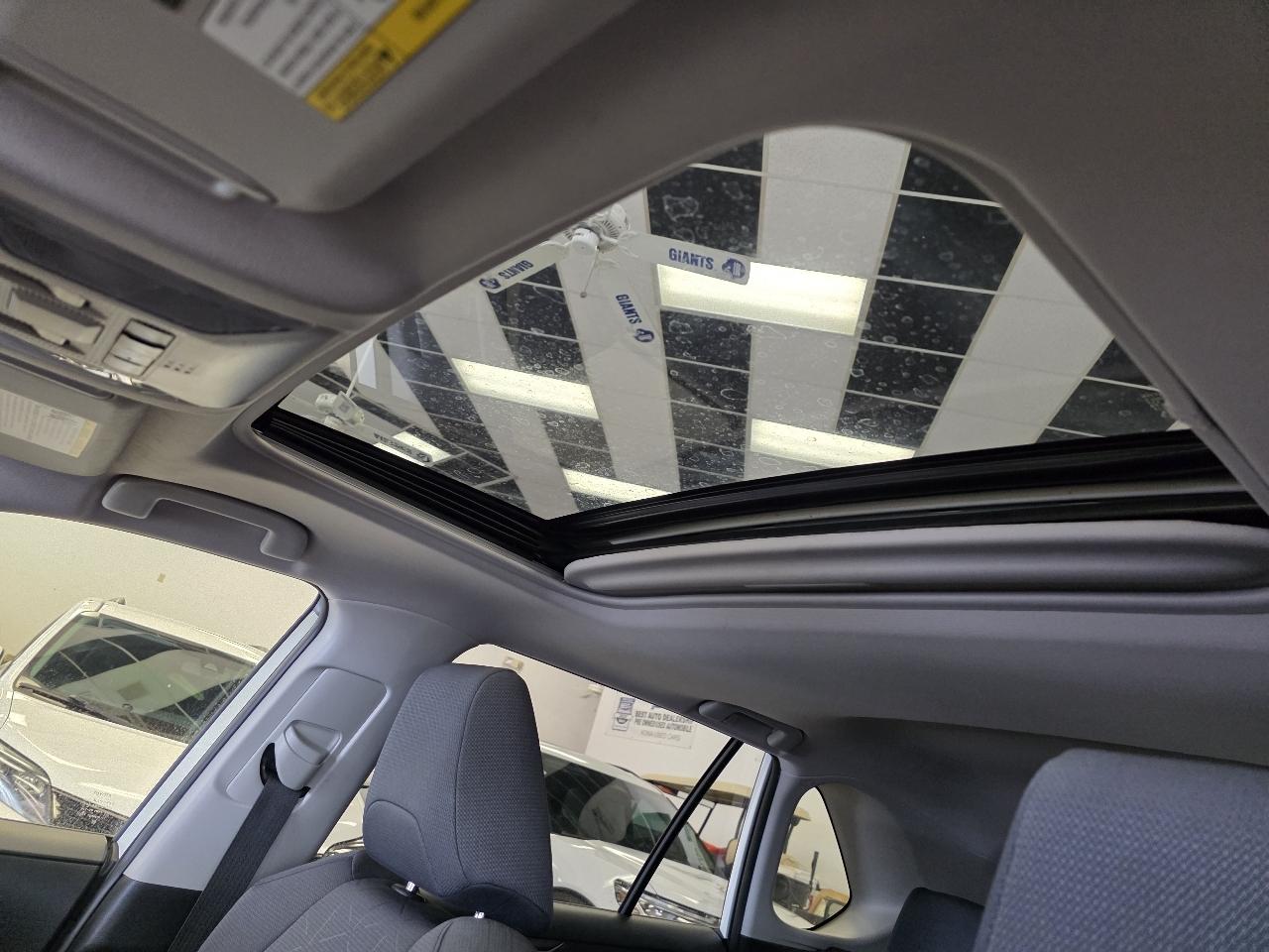 Toyota RAV4 XLE 2019