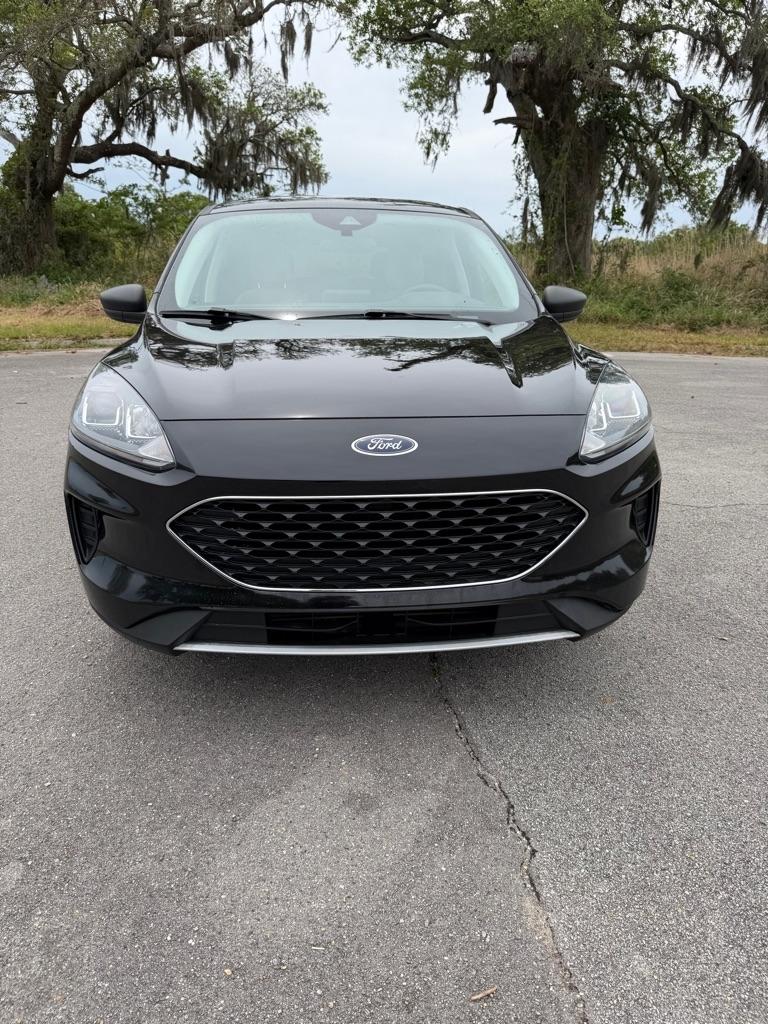 Ford Escape SE FWD 2022