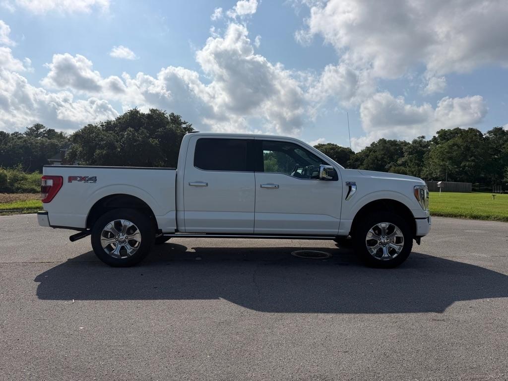 Ford F-150 Platinum 4WD SuperCrew 5.5' Box 2021