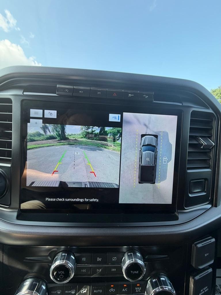 Ford F-150 Platinum 4WD SuperCrew 5.5' Box 2021