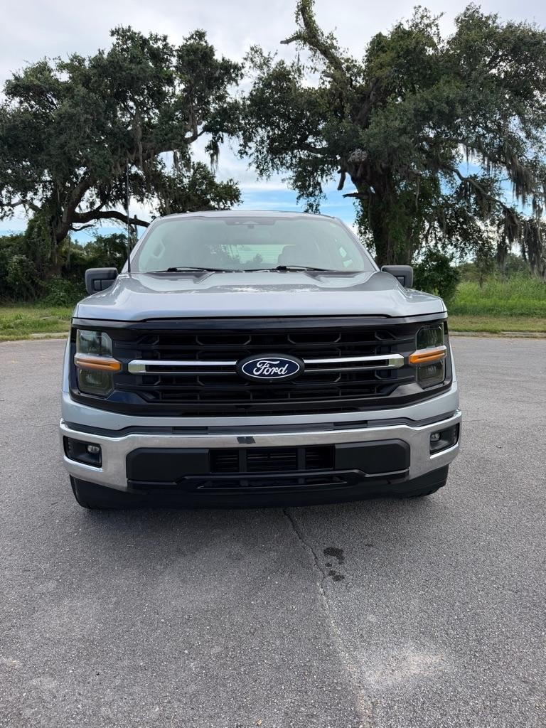 Ford F-150 XLT 2WD SuperCrew 5.5' Box 2024
