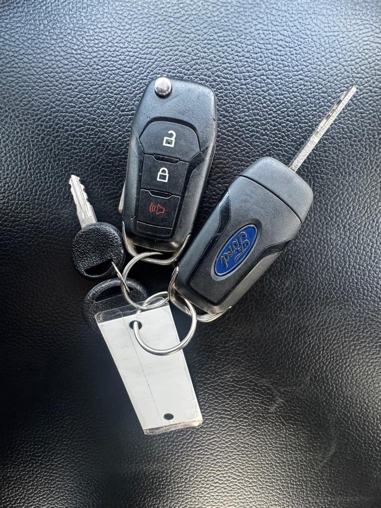 Ford F-150 XL 4WD SuperCrew 5.5' Box 2019