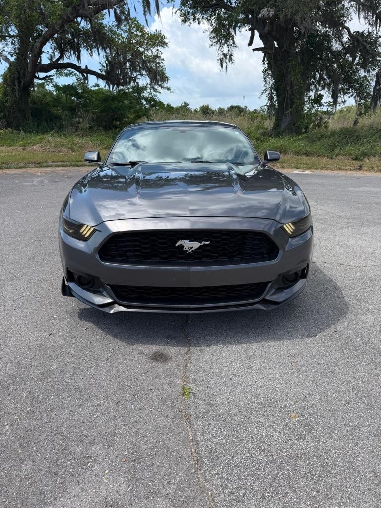 Ford Mustang EcoBoost Fastback 2017