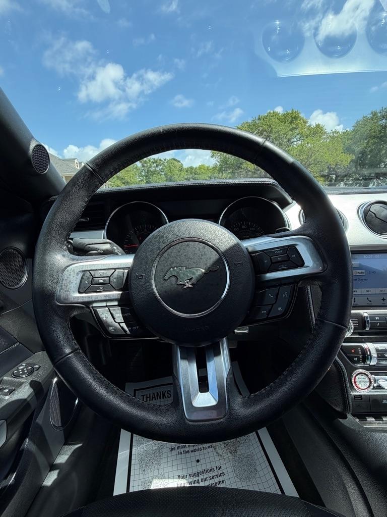 Ford Mustang EcoBoost Fastback 2017