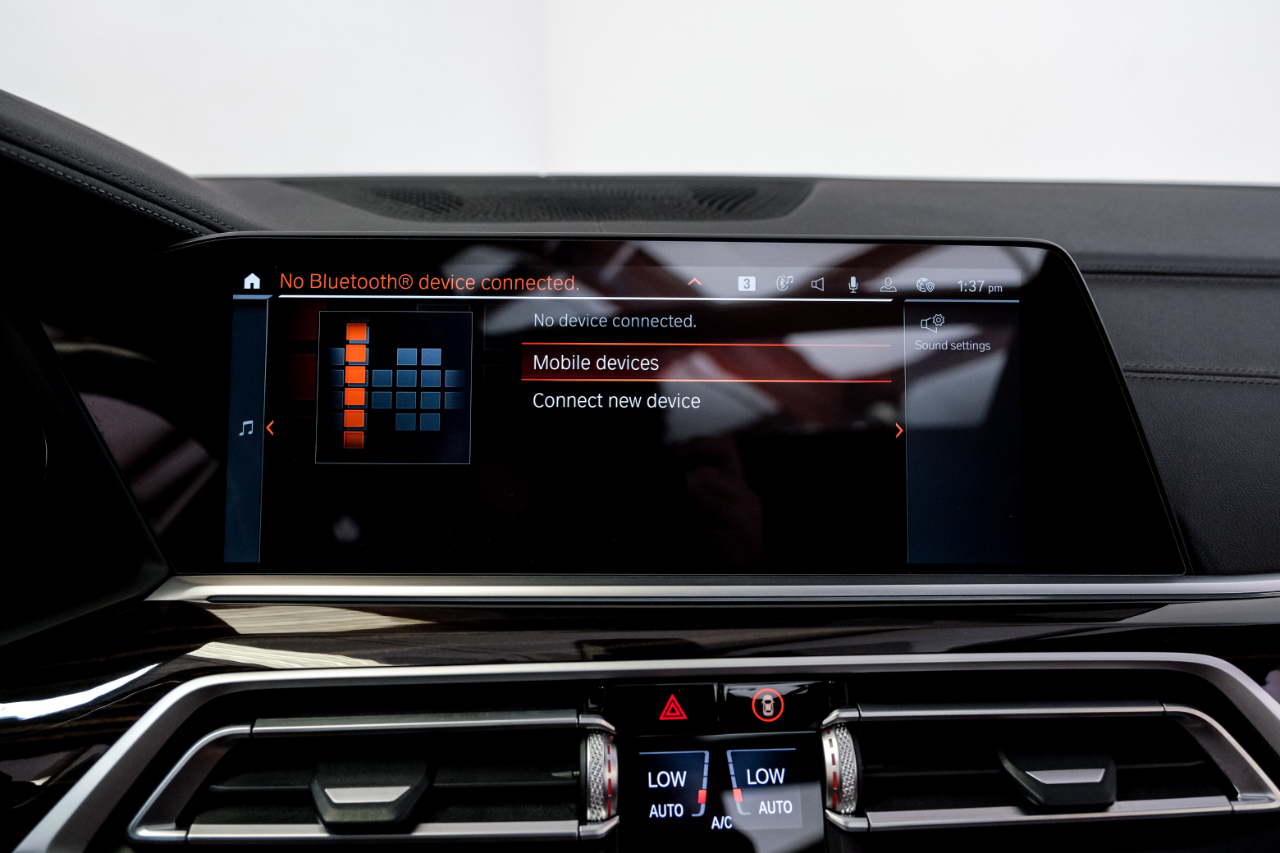 2021 Bmw X6 xDrive40i photo 25