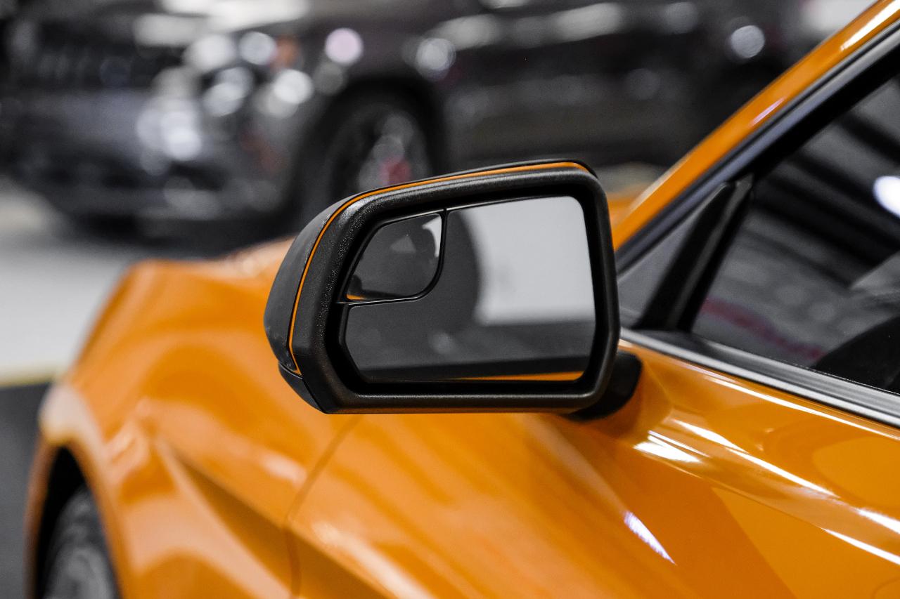 Ford Mustang GT Fastback 2018