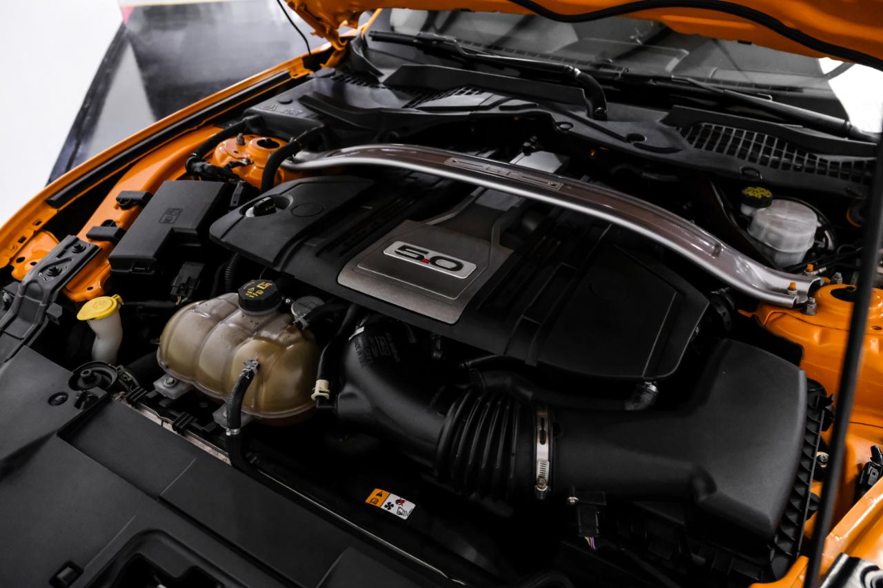 Ford Mustang GT Fastback 2018