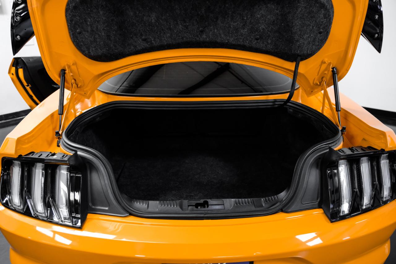 Ford Mustang GT Fastback 2018