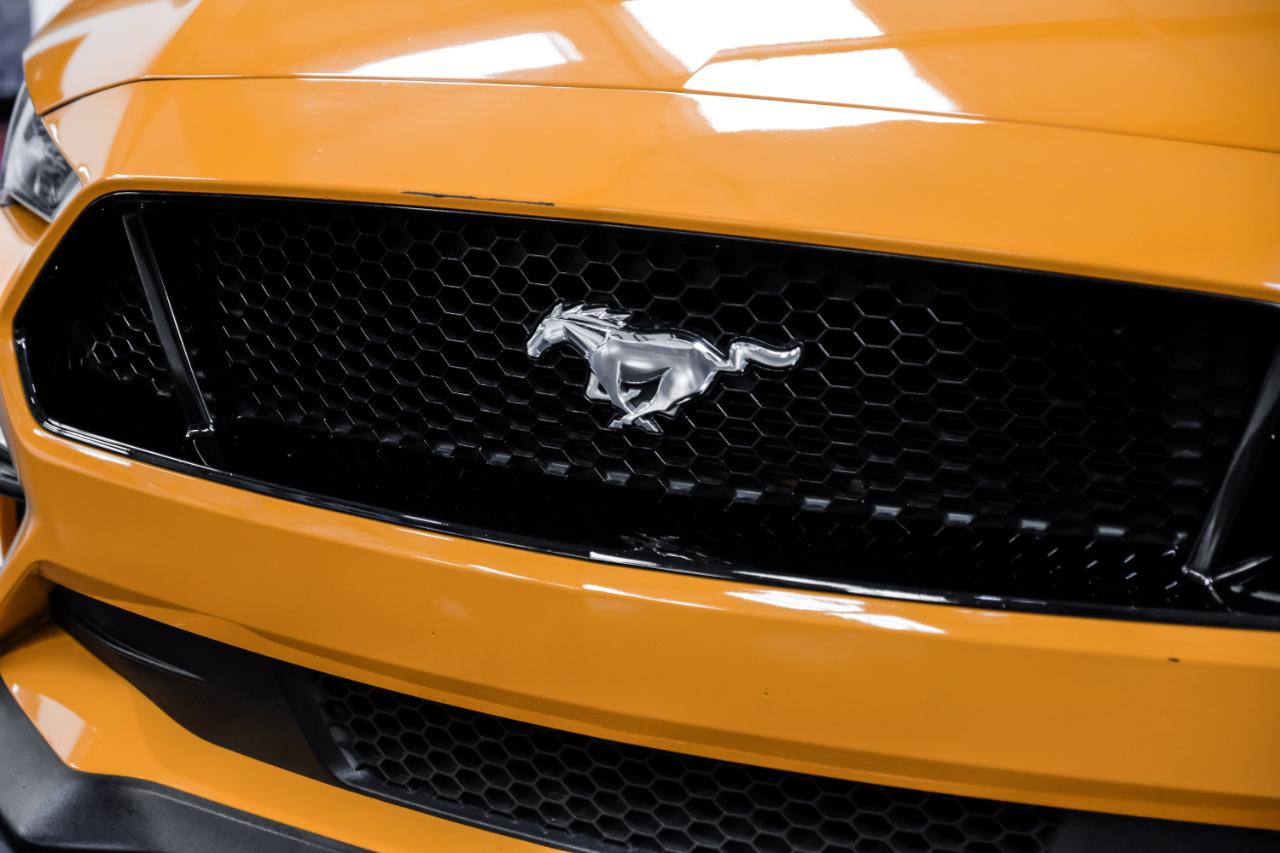 Ford Mustang GT Fastback 2018