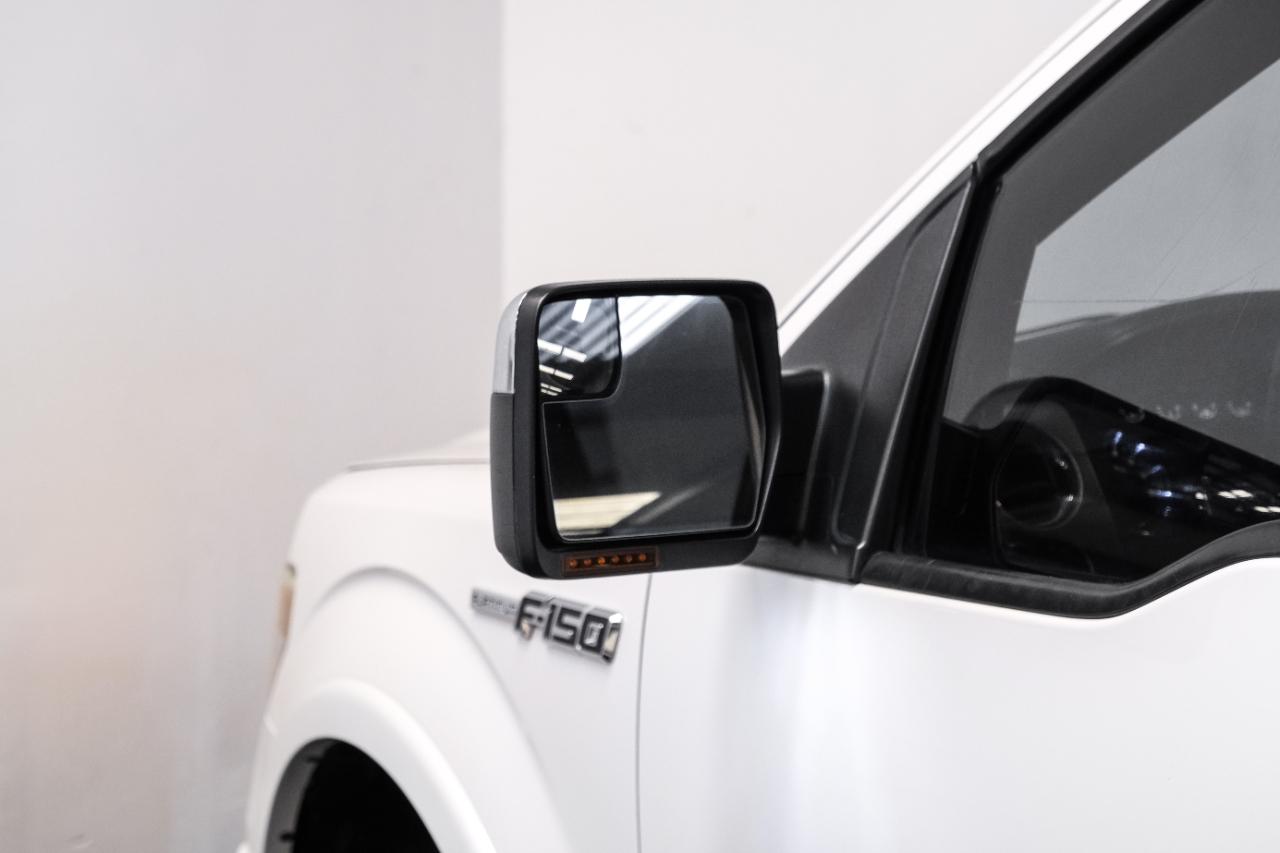 Ford F-150 4WD SuperCrew 145" Platinum 2014