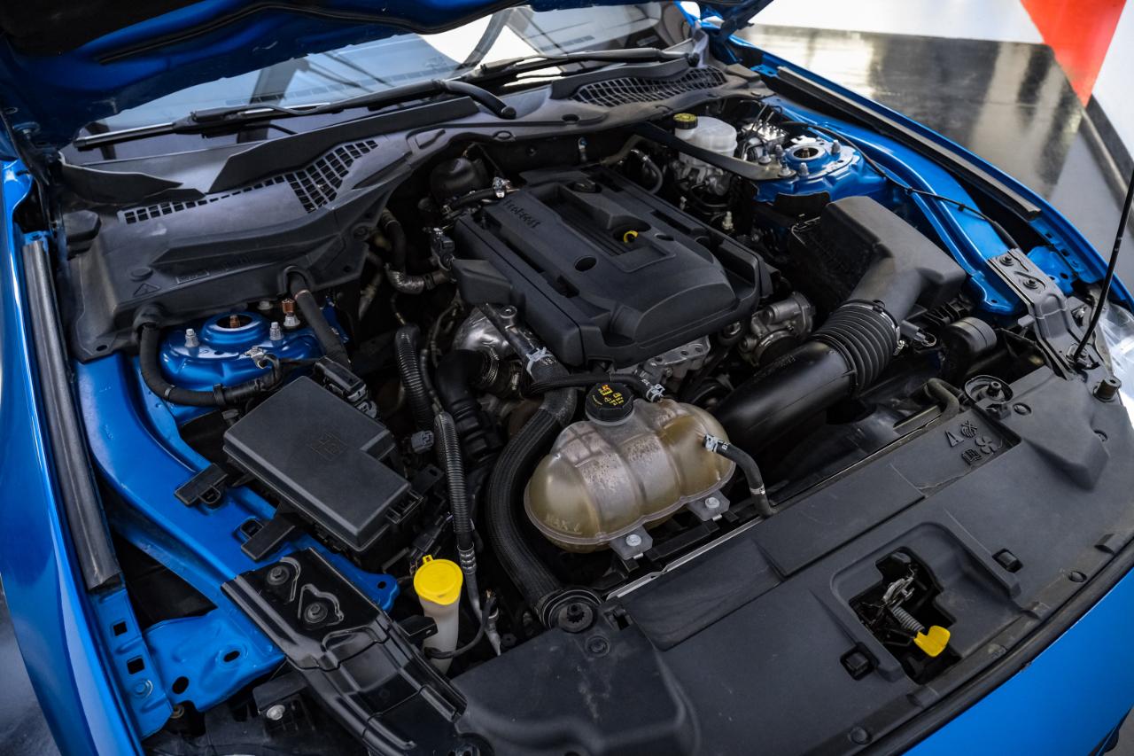Ford Mustang EcoBoost Convertible 2020