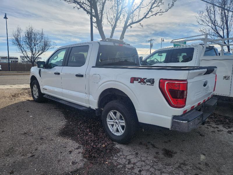 Ford F-150 FX4 SuperCrew 6.5-ft Box 4WD 2022