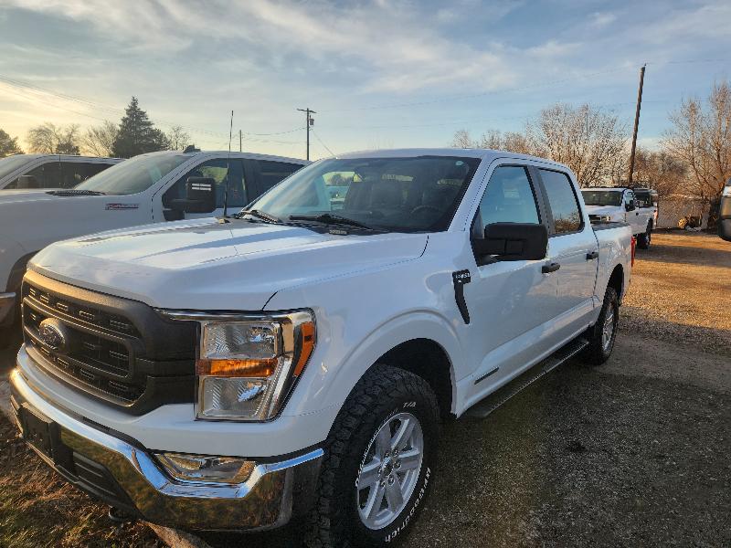 2022 Ford F-150 XL's photo