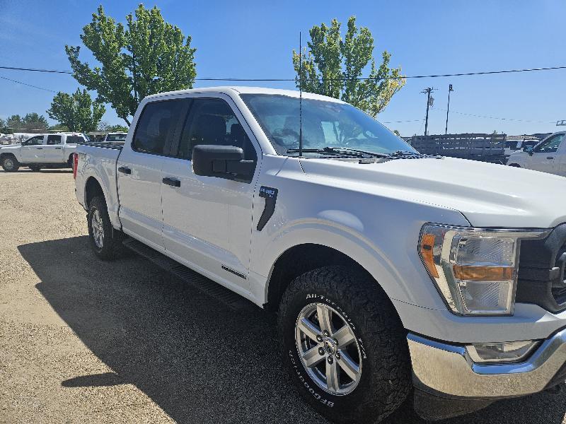 Ford F-150 XL SuperCrew 5.5-ft. Bed 4WD 2022