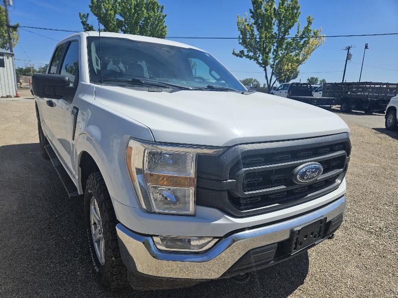 Ford F-150 XL SuperCrew 5.5-ft. Bed 4WD 2022