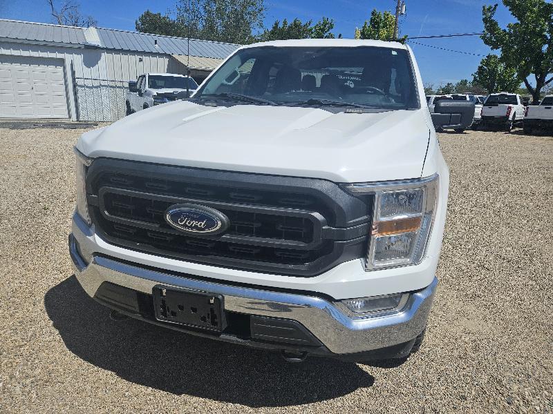 Ford F-150 XL SuperCrew 5.5-ft. Bed 4WD 2022