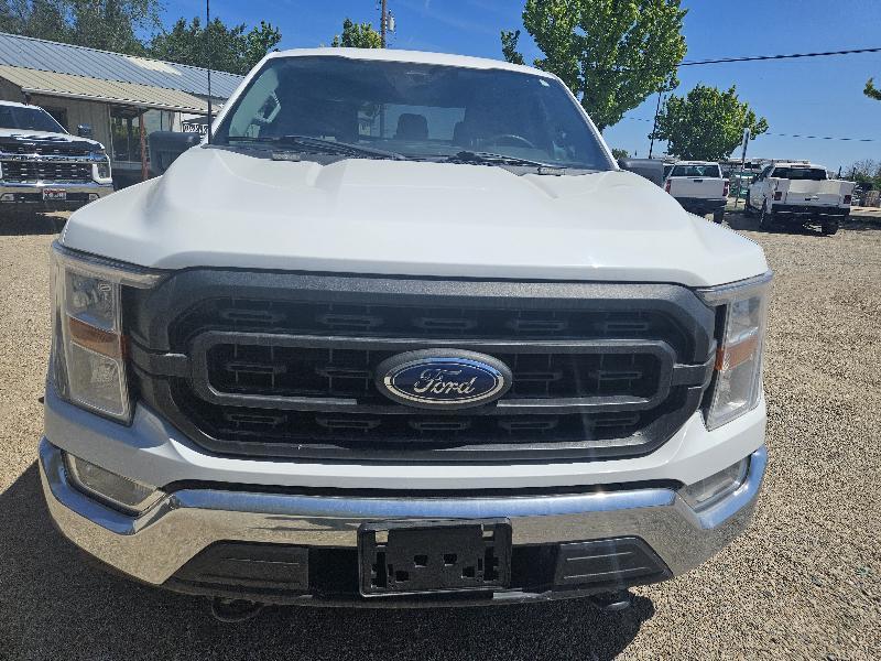 Ford F-150 XL SuperCrew 5.5-ft. Bed 4WD 2022