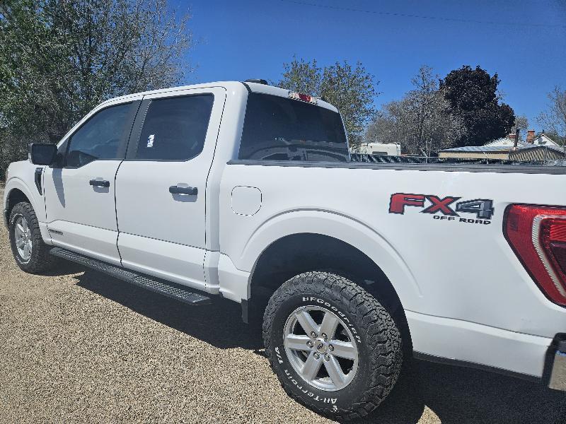 Ford F-150 XL SuperCrew 5.5-ft. Bed 4WD 2022