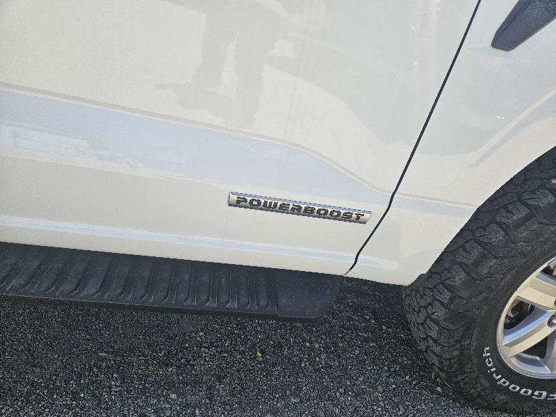 Ford F-150 XL SuperCrew 5.5-ft. Bed 4WD 2022