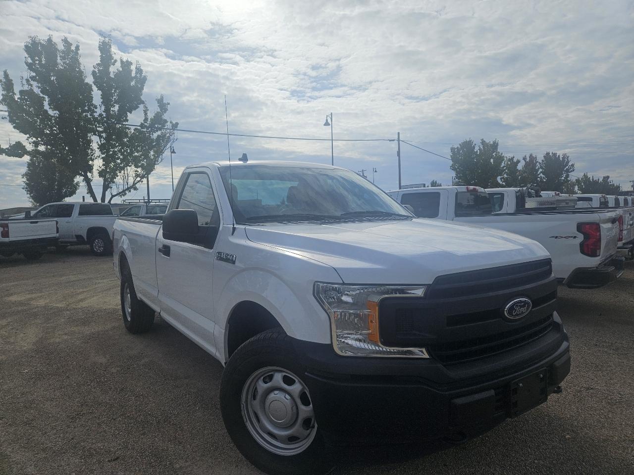 Ford F-150 XL 8-ft. Bed 4WD 2020
