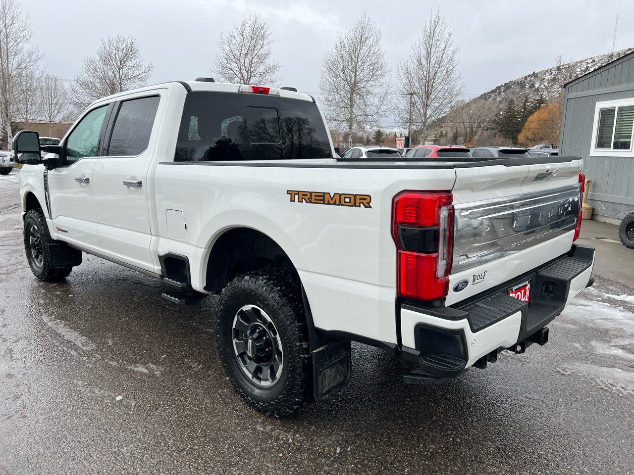 Ford Super Duty F-250 SRW  2024