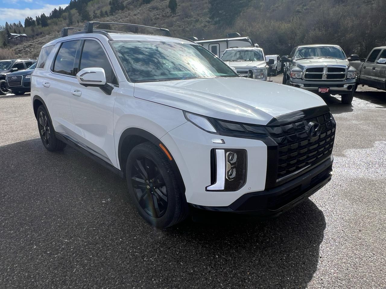 Hyundai Palisade  2025