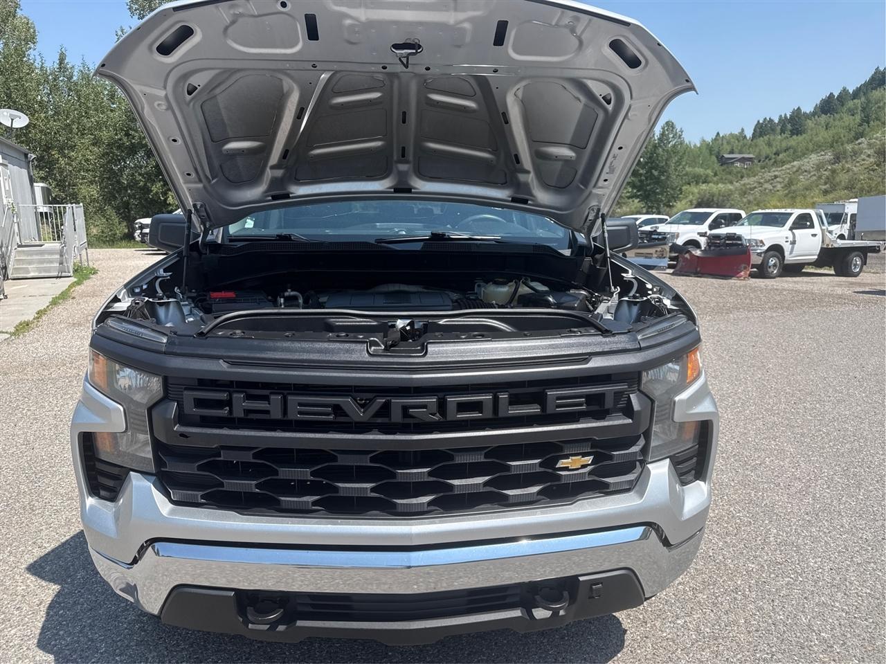 Chevrolet Silverado 1500  2022