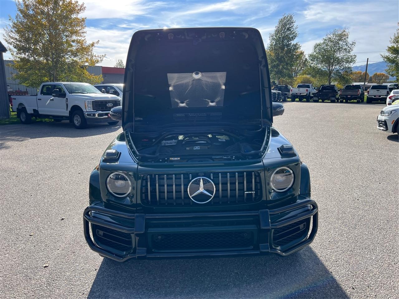 Mercedes-Benz G-Class photo 11