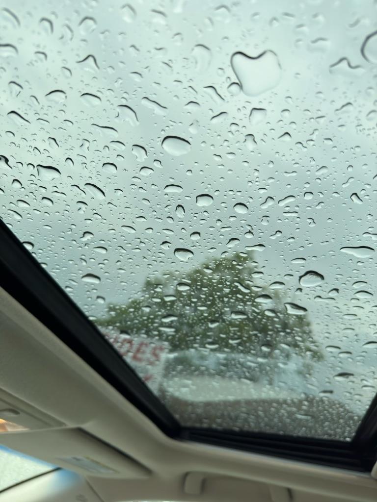 Toyota Avalon XL 2006