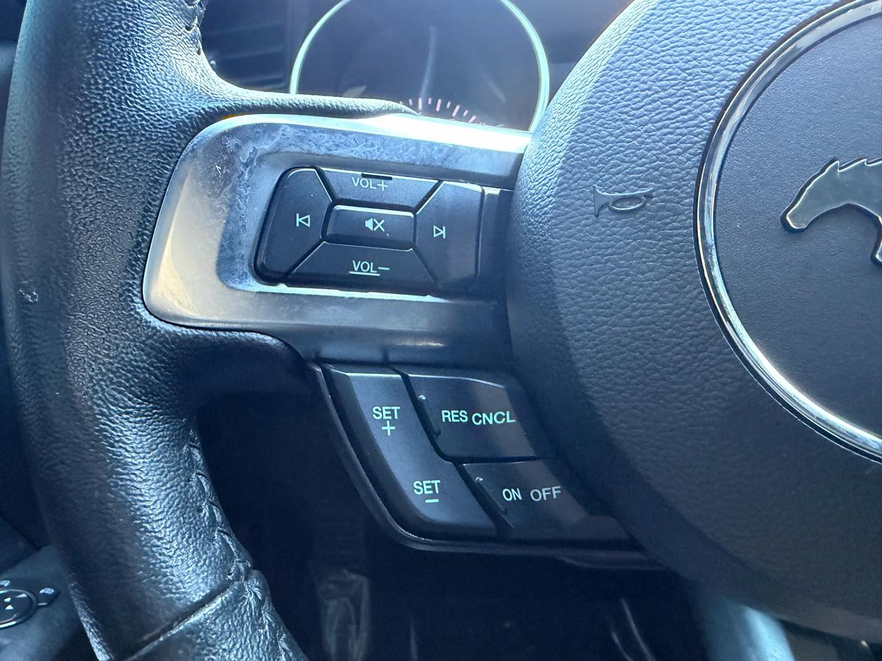 Ford Mustang EcoBoost Fastback 2021