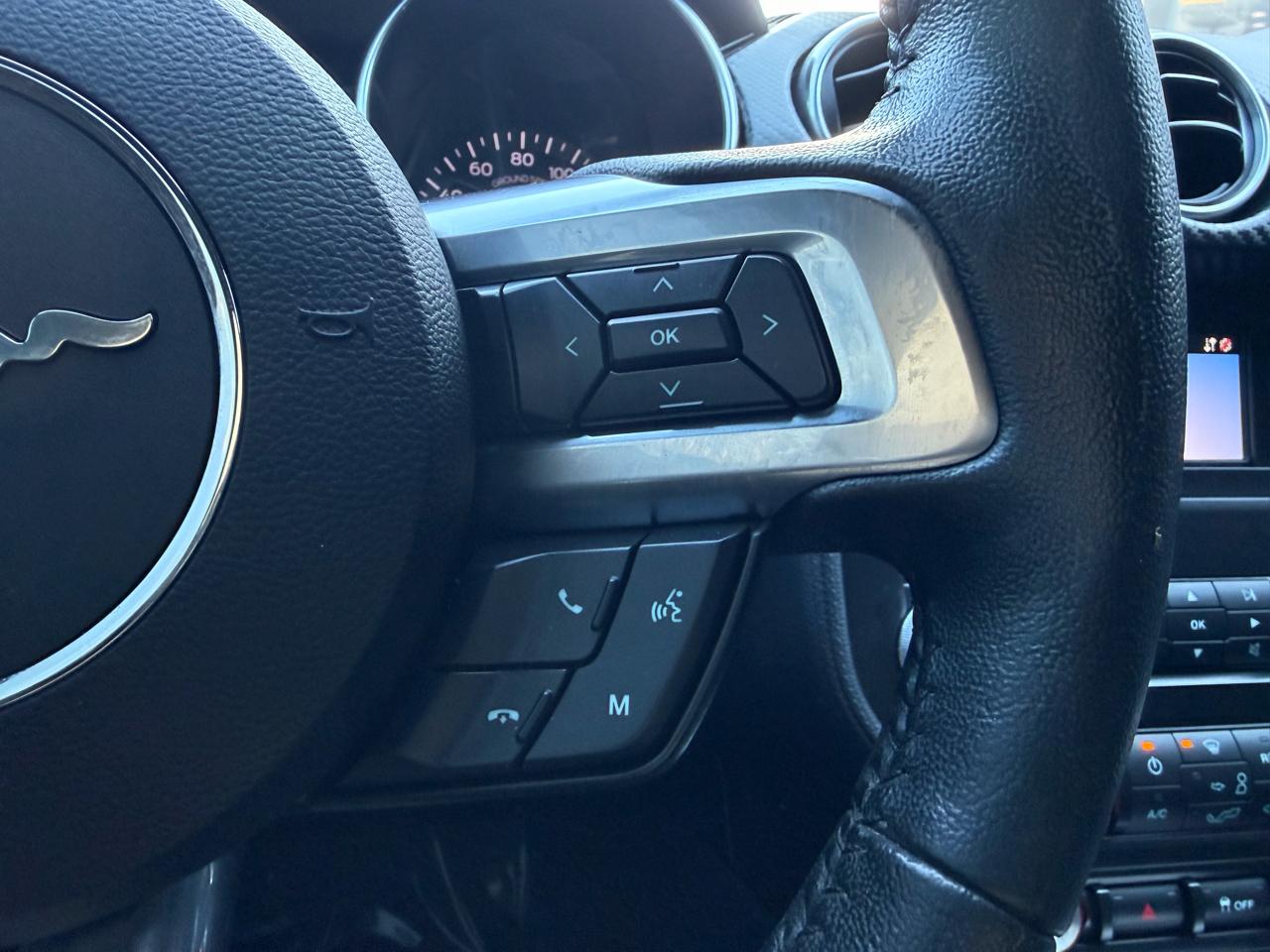 Ford Mustang EcoBoost Fastback 2021