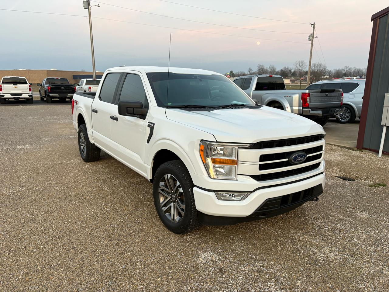 Ford F-150 4WD SuperCrew 139" XLT 2021