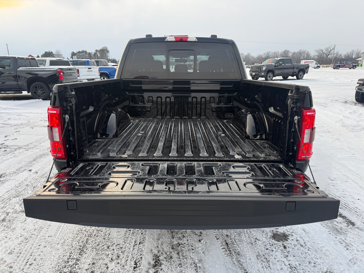 Ford F-150 4WD SuperCrew 145" XLT 2022